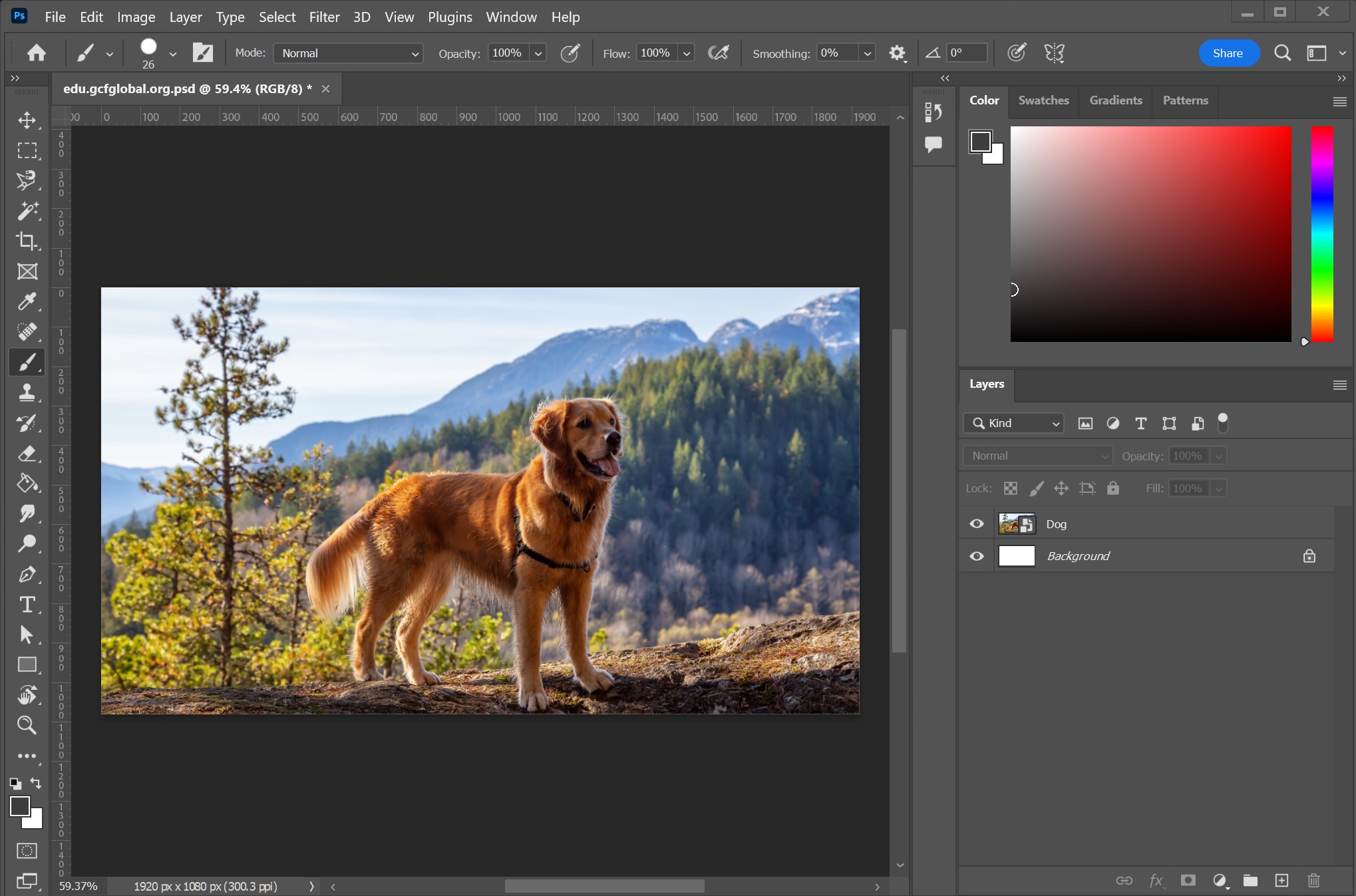 Interface du logiciel Photoshop